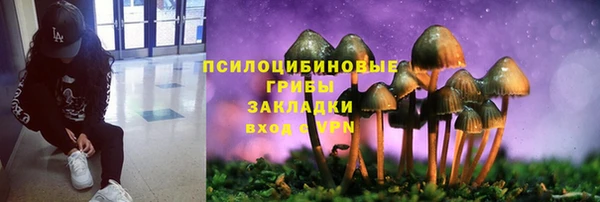 стафф Бронницы