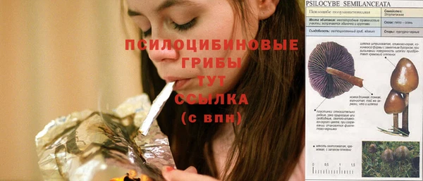 COCAINE Бородино