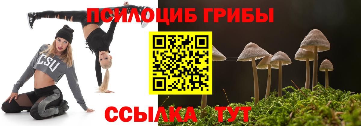 Псилоцибиновые грибы прущие грибы Пыть-Ях
